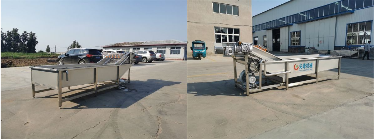 根莖類水浴氣泡清洗機器設(shè)備